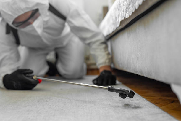 Professional Bed Bug Control technician working in Frankfort Square, IL