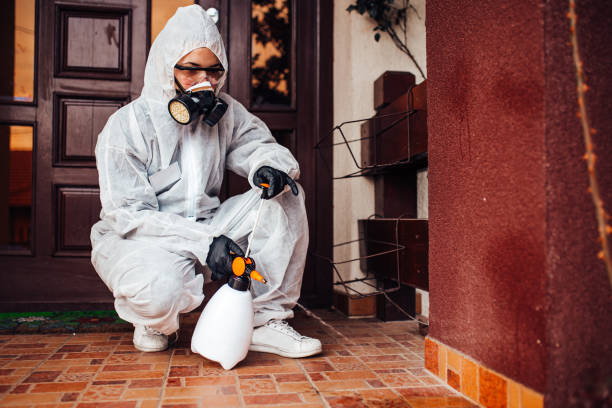 Reliable Bed Bug Control contractor in Frankfort Square, IL by Nex Pest Control